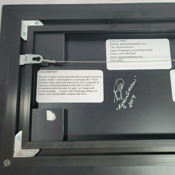 Agnes Alfano "Mystical Motion" Digital Photography on Metal Plate Signed - Picture 9 of 10